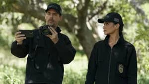 NCIS 19. Sezon 21. Bölüm