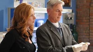 NCIS 7. Sezon 18. Bölüm