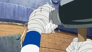 One Piece 8. Sezon 241. Bölüm