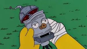 Simpsonlar 12. Sezon 18. Bölüm
