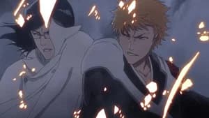 Bleach 2. Sezon 30. Bölüm