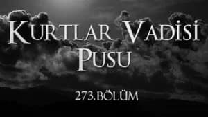 Kurtlar Vadisi: Pusu 10. Sezon 10. Bölüm