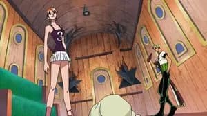 One Piece 8. Sezon 256. Bölüm